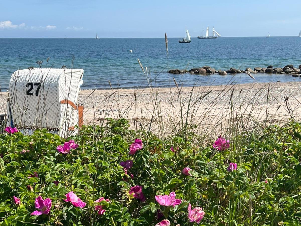 Seelund - Meeresrauschen Lauschen - Ruhiges Sonniges Apartment Mit Garten Und Terrasse Nahe Strand Und Ostsee Schonhagen  Bagian luar foto